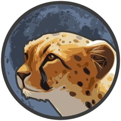 Token Cheetah